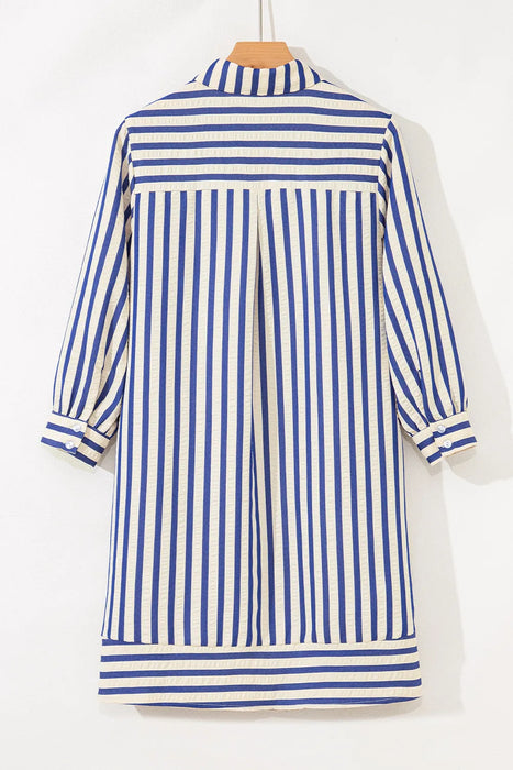 Blue & Ivory Striped Collared Mini Dress with Pockets