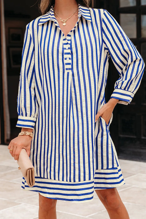Blue & Ivory Striped Collared Mini Dress with Pockets