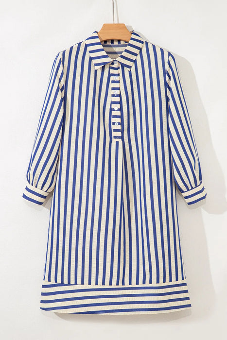 Blue & Ivory Striped Collared Mini Dress with Pockets
