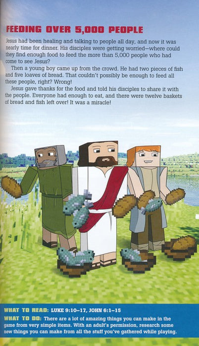 NIrV Minecrafters Bible